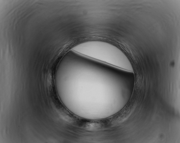 X0000100850220200806200810