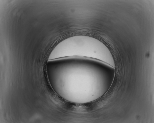 X0000100850221200806200809