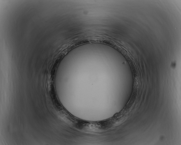 X0000100850223200806200809