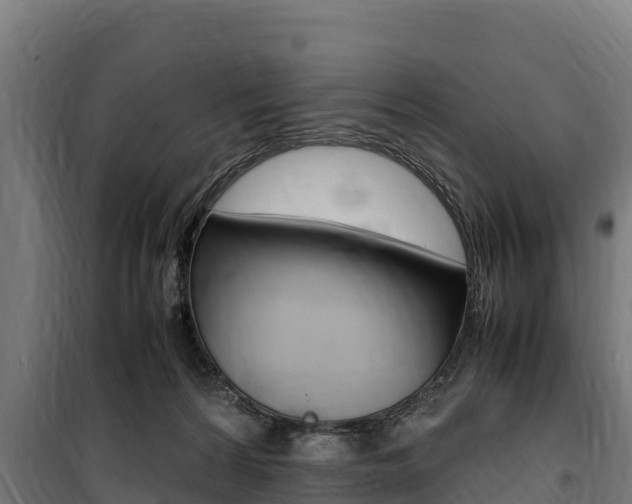 X0000100850224200806200809