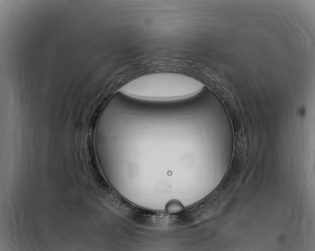 X0000100850225200806200809