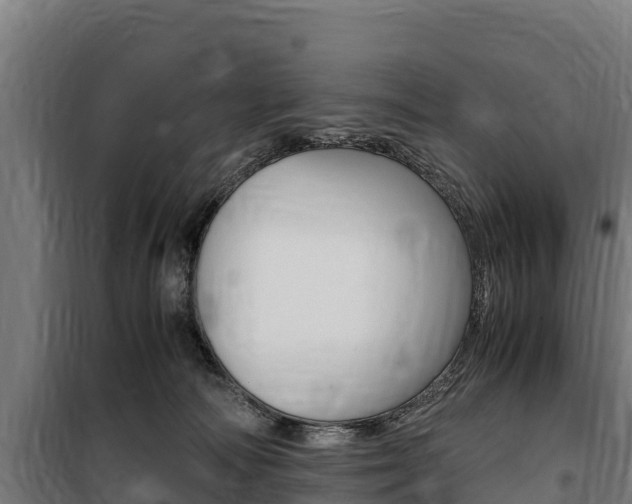 X0000100850226200806200809