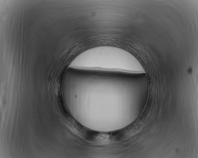 X0000100850227200806200809