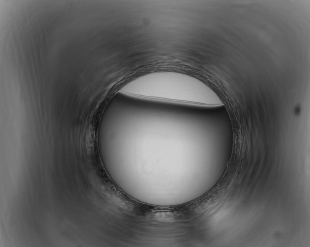 X0000100850228200806200809