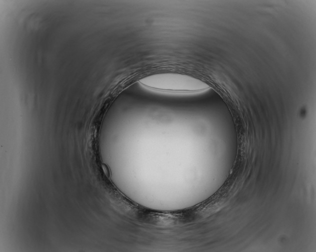X0000100850229200806200809