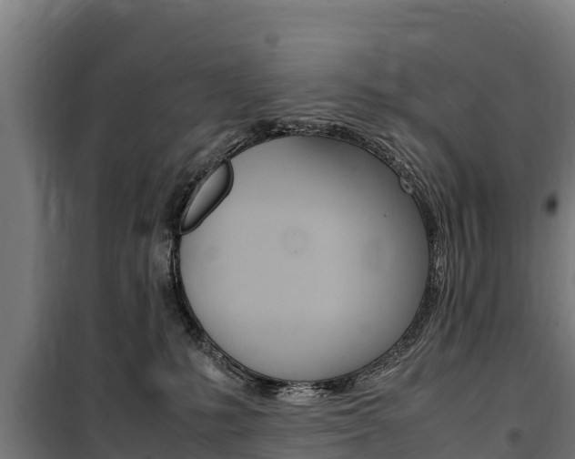 X0000100850231200806200809