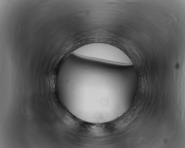 X0000100850232200806200809