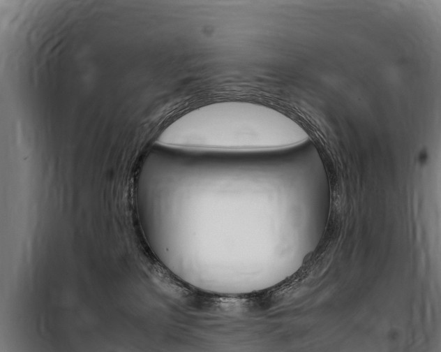 X0000100850233200806200809