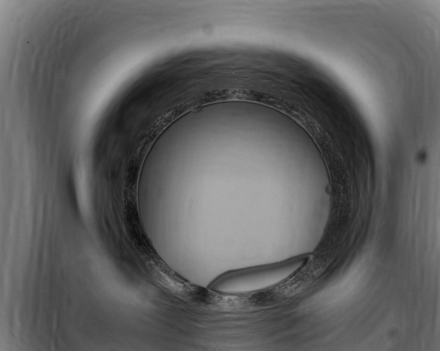 X0000100850239200806200809