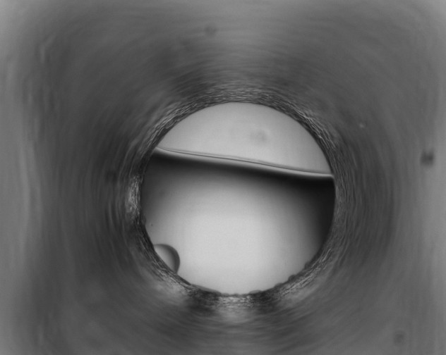 X0000100850240200806200809