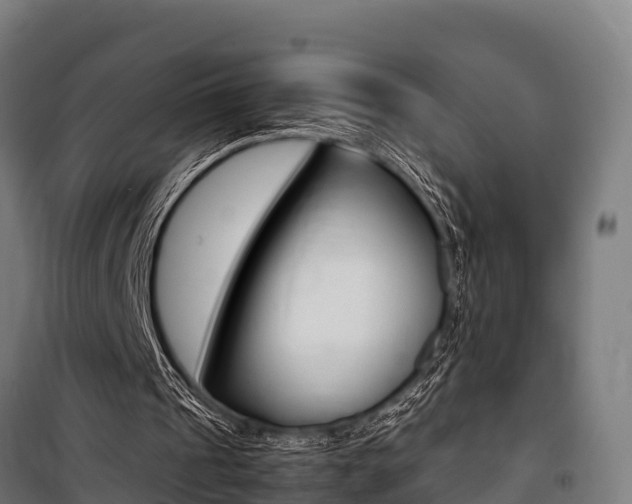 X0000100850241200806200808