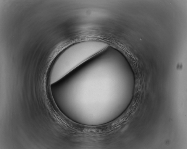 X0000100850242200806200809