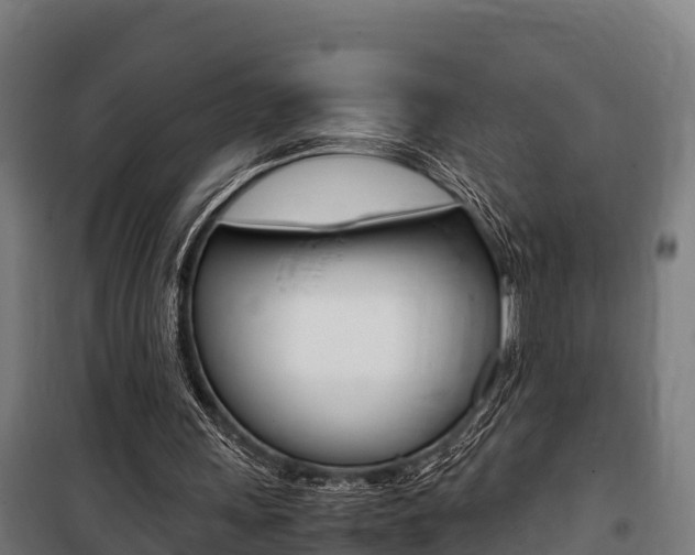 X0000100850243200806200809
