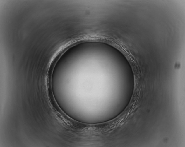 X0000100850244200806200809