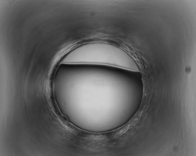 X0000100850245200806200809