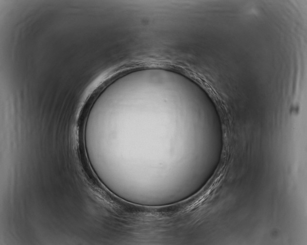 X0000100850246200806200809