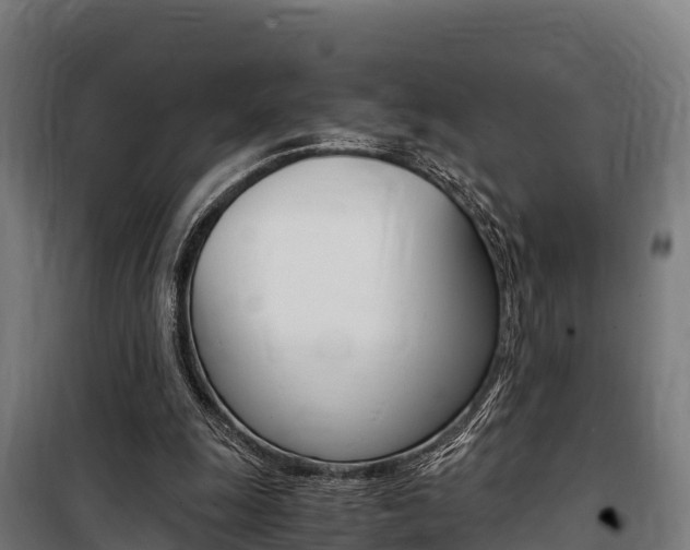 X0000100850247200806200809