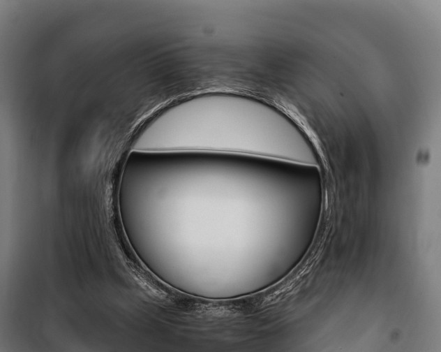 X0000100850249200806200809
