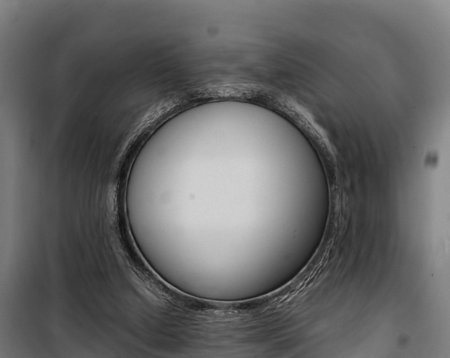 X0000100850250200806200809