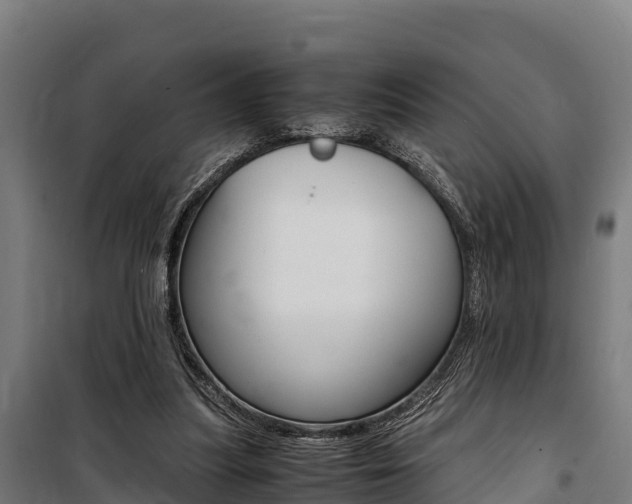 X0000100850251200806200809