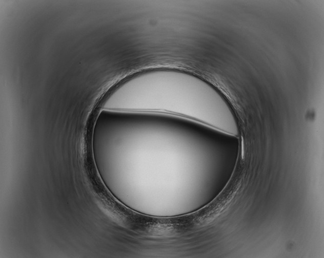X0000100850252200806200809