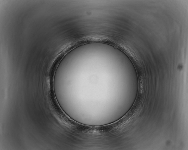 X0000100850254200806200809
