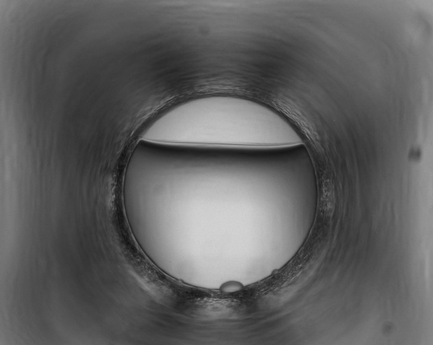 X0000100850255200806200809