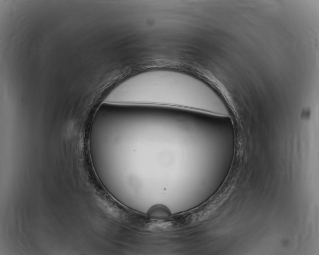 X0000100850257200806200809