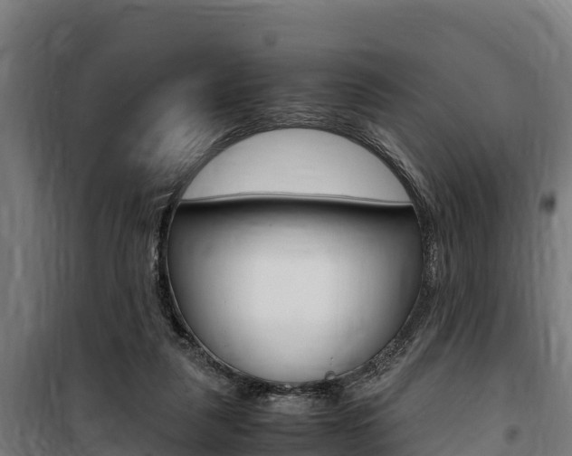 X0000100850259200806200809