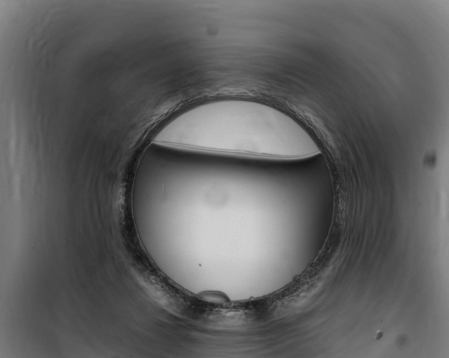 X0000100850260200806200809