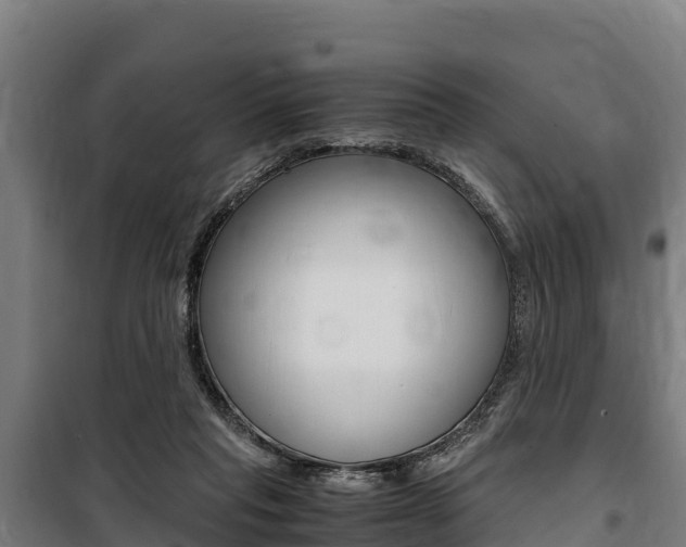 X0000100850261200806200809