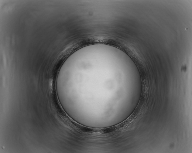 X0000100850262200806200809