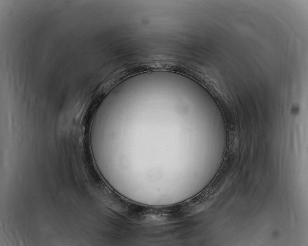 X0000100850263200806200809