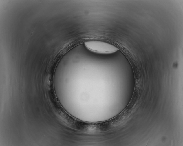 X0000100850264200806200809
