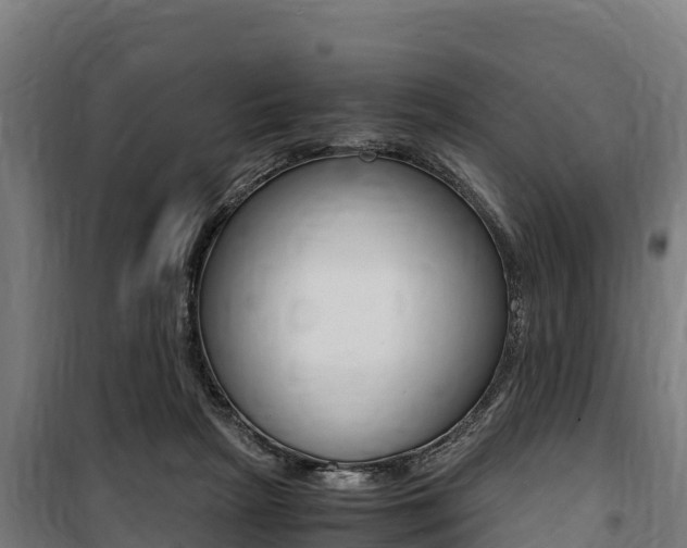 X0000100850265200806200809