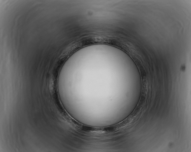 X0000100850266200806200809