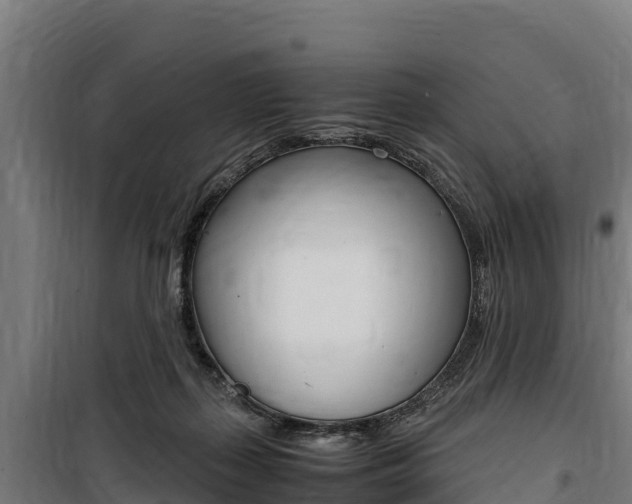 X0000100850267200806200809