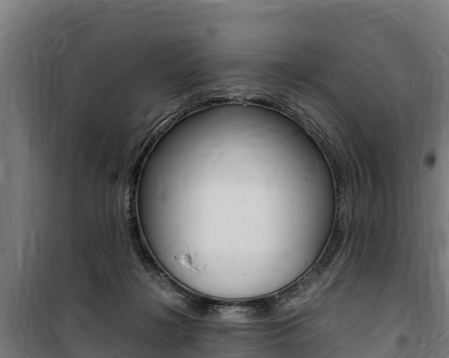 X0000100850268200806200809