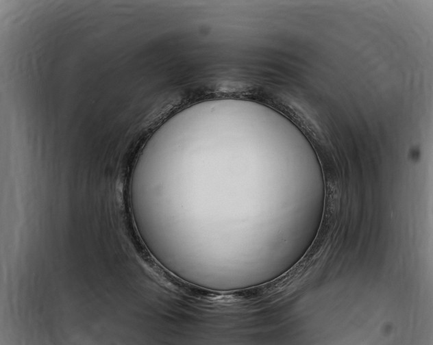 X0000100850269200806200809