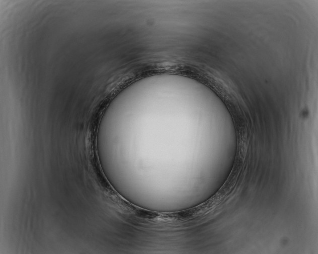 X0000100850270200806200809