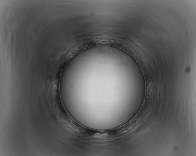 X0000100850271200806200809