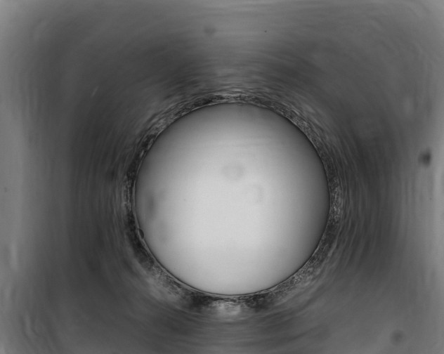 X0000100850272200806200809