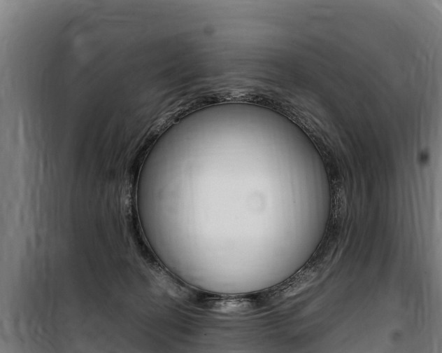 X0000100850274200806200809