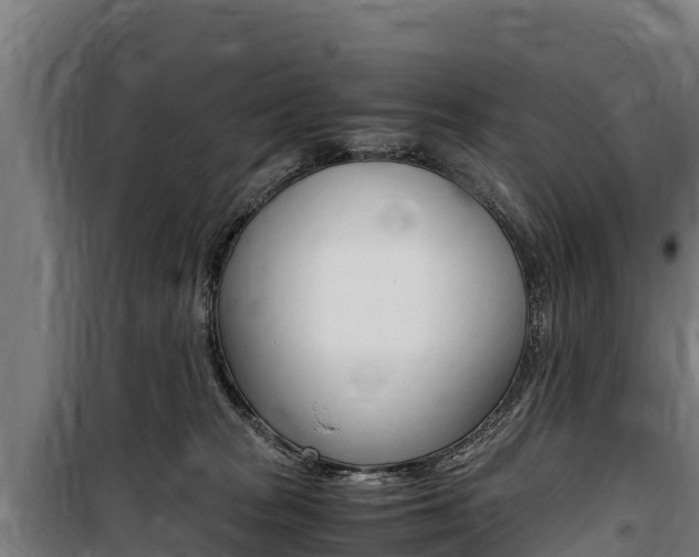 X0000100850277200806200809