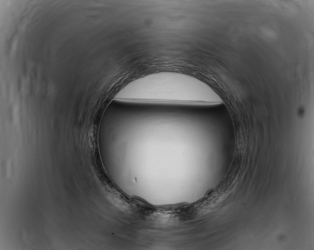 X0000100850280200806200809
