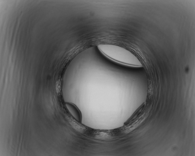 X0000100850285200806200809