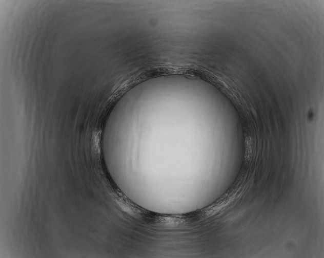 X0000100850286200806200809