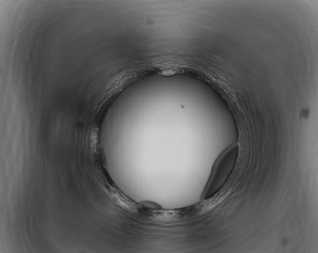 X0000100850288200806200809