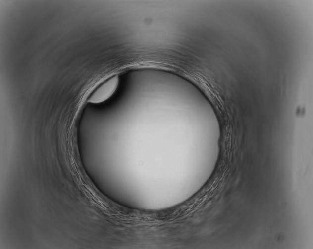 X0000100850289200806200808