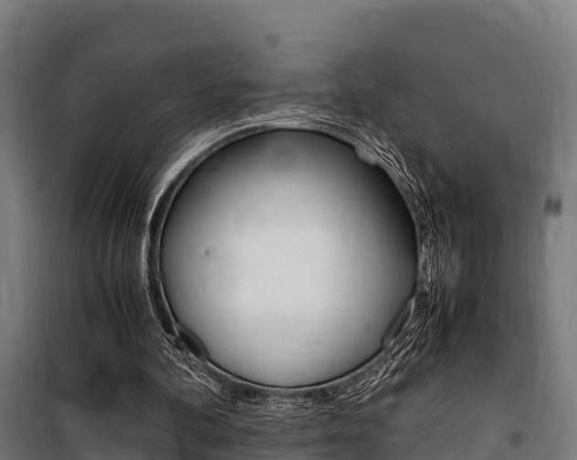 X0000100850292200806200808